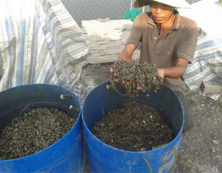 hinh-anh-17.jpg
