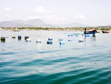 Chuyển đổi nghề cho người nuôi trồng thủy sản ở Cam Ranh (Khánh Hòa): Tìm hướng giải quyết