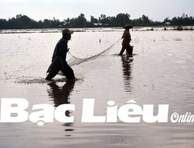 Đánh bắt cá mùa nước nổi