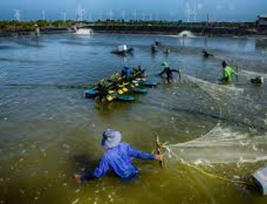 Đánh giá tác động xã hội