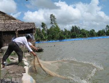 Tầm quan trọng của việc ứng dụng chế phẩm sinh học trong nuôi thủy sản