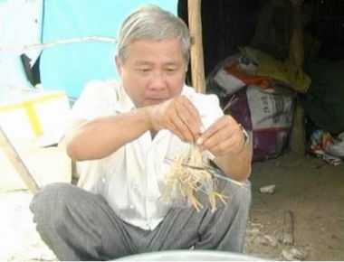 Thu tiền tỷ mỗi năm từ mô hình nuôi tôm càng xanh trên ruộng