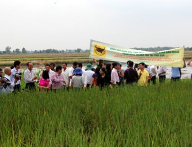 Học Thái Lan làm nông nghiệp: Nông dân cần sản xuất thông minh hơn