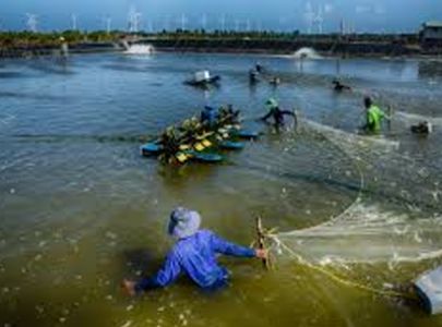 Đánh giá tác động xã hội