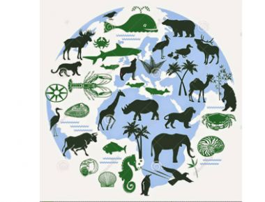 Đánh giá đa dạng sinh học và bảo tồn các loài quí hiếm