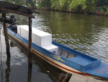 TÔM CÀNG XANH GIỐNG TOÀN ĐỰC