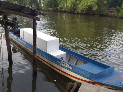 TÔM CÀNG XANH GIỐNG TOÀN ĐỰC