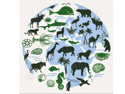 Đánh giá đa dạng sinh học và bảo tồn các loài quí hiếm