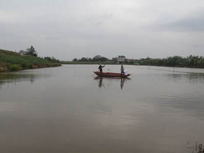 Tư vấn và hổ trợ kỹ thuật nuôi trồng thủy sản